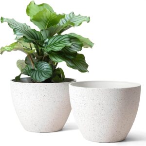 Smatr Home Grey pot