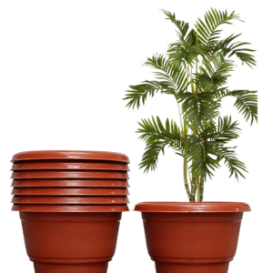 Arsynaas Pots