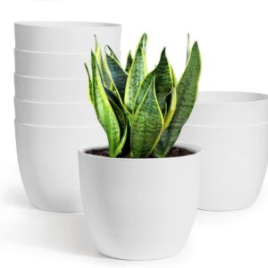 Gardening Pots